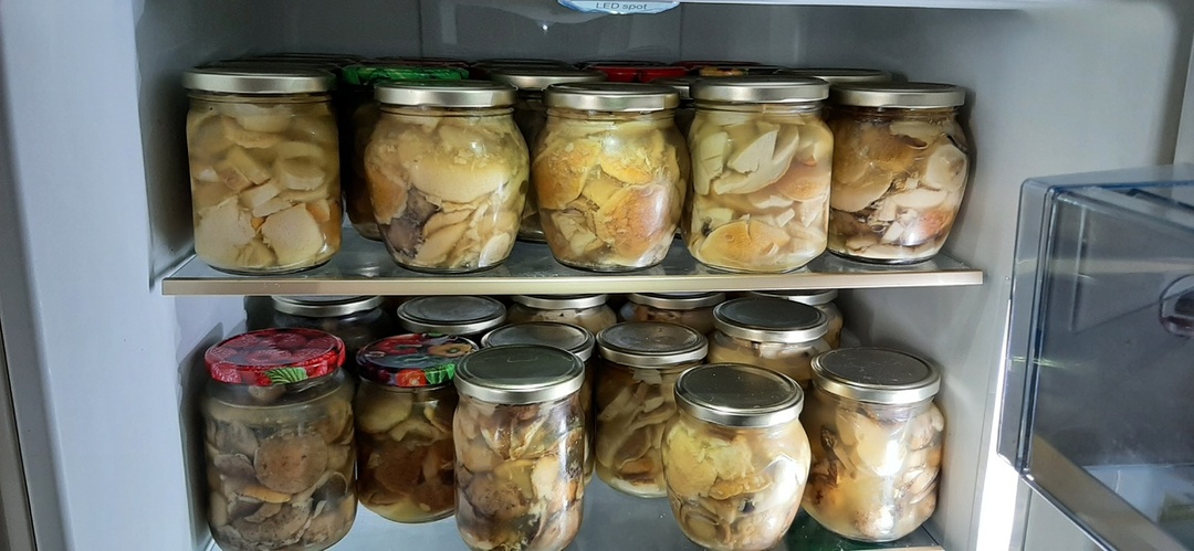 Мой рецепт маринования белых и подосиновиков. Прост и надёжен