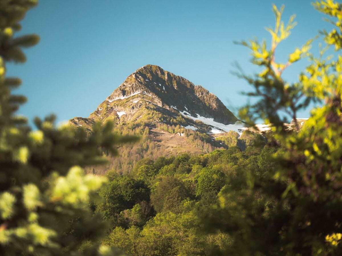    Фото: пресс-служба горного курорта «Красная Поляна»