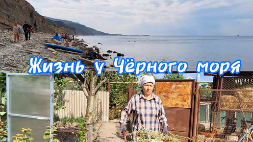 Бархатный сезон в огороде и на море