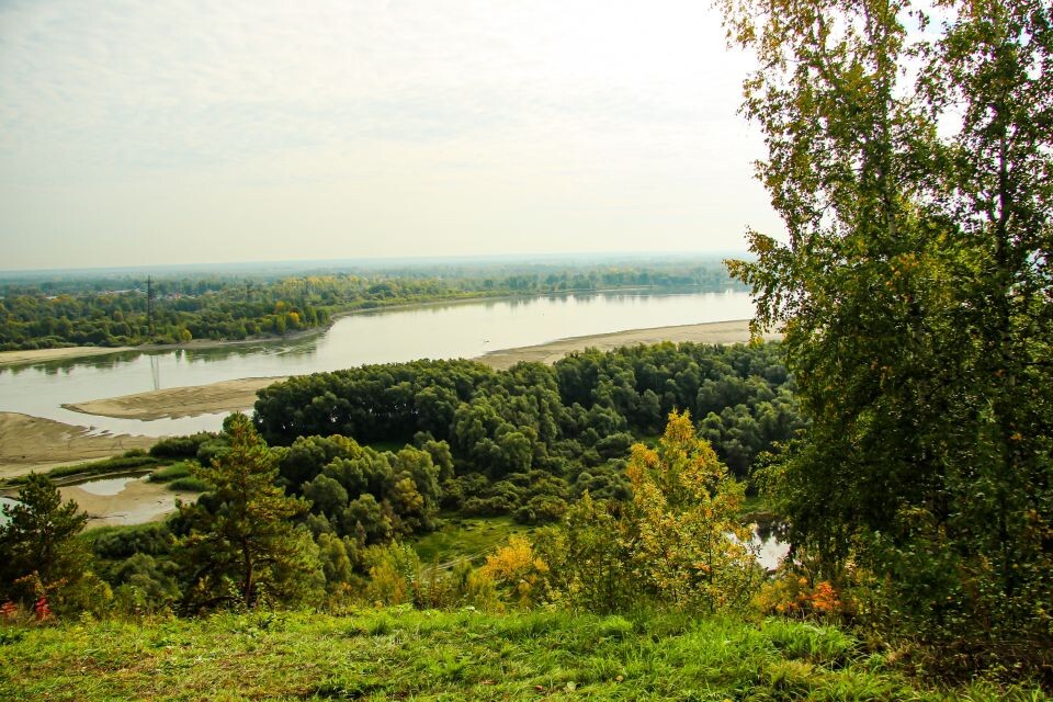    Осень в дендрарии 2023. Источник: Виталий Барабаш