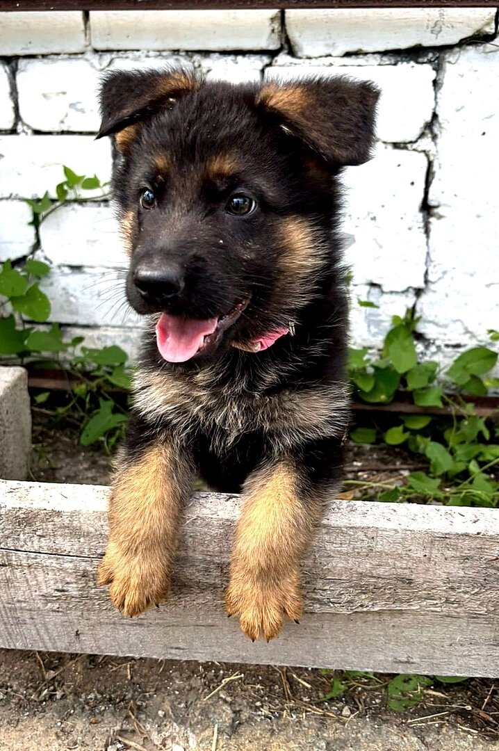    Фото: пресс-служба ГУФСИН по Челябинской области