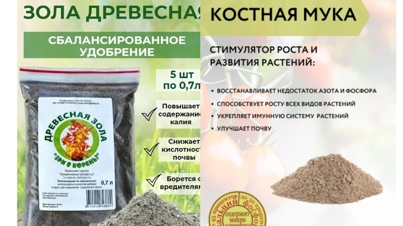 Вот такие удобрения помогут вашим пионам подготовиться к зиме