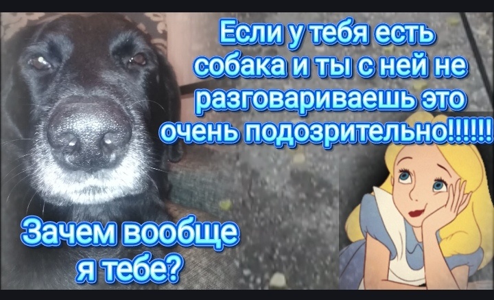 Юмор, анекдот,