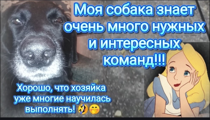 Юмор, анекдот 
