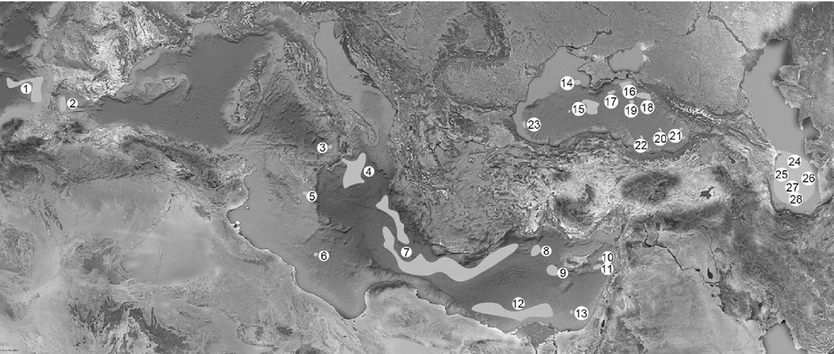 Ареалы распространения грязевых вулканов в Средиземном, Чёрном и Каспийском морях. Из статьи Е. Ф. Шнюкова и др. "Грязевой вулканизм Средиземного, Чёрного и Каспийского морей: специфика развития и проявления", 2017