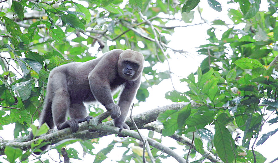 Снимок: skyscrapercity.com