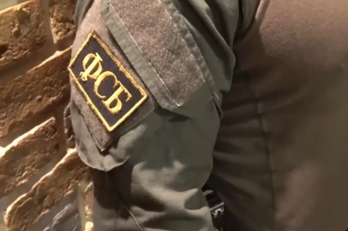    В ФСБ показали кадры задержания боевика нацбатальона «Айдар»