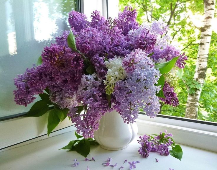 Фото с сайта Pinterest