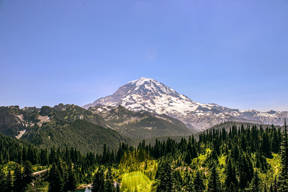 Фото с бесплатного фотостока https://unsplash.com, автор Peter Robbins