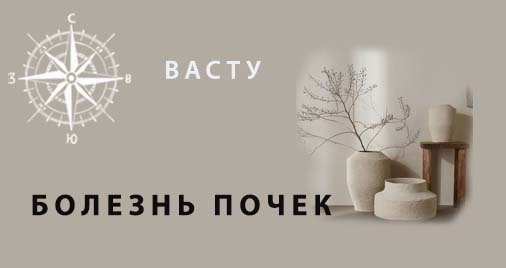 БОЛЕЗНЬ ПОЧЕК. ИЗУЧАЕМ ДОМ.