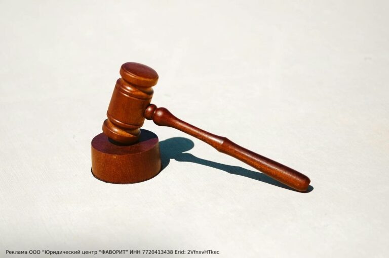    Как получить деньги по исполнительному листу, если взыскатель умер: пошаговая инструкция Кристина Просвиркина