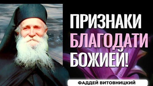 Мы сами себя поедаем и разрушаем психически, все потому, что...Фаддей Витовницкий