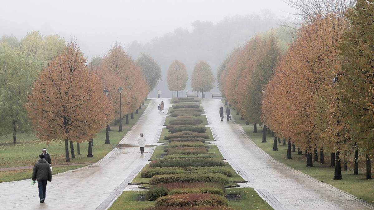    Фото: Василий Кузьмиченок / АГН Москва