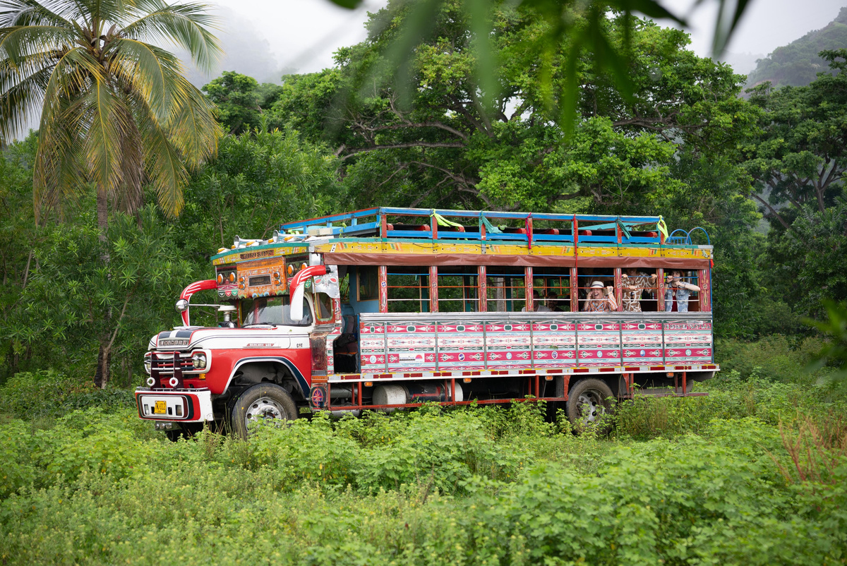 Фото из открытого источника