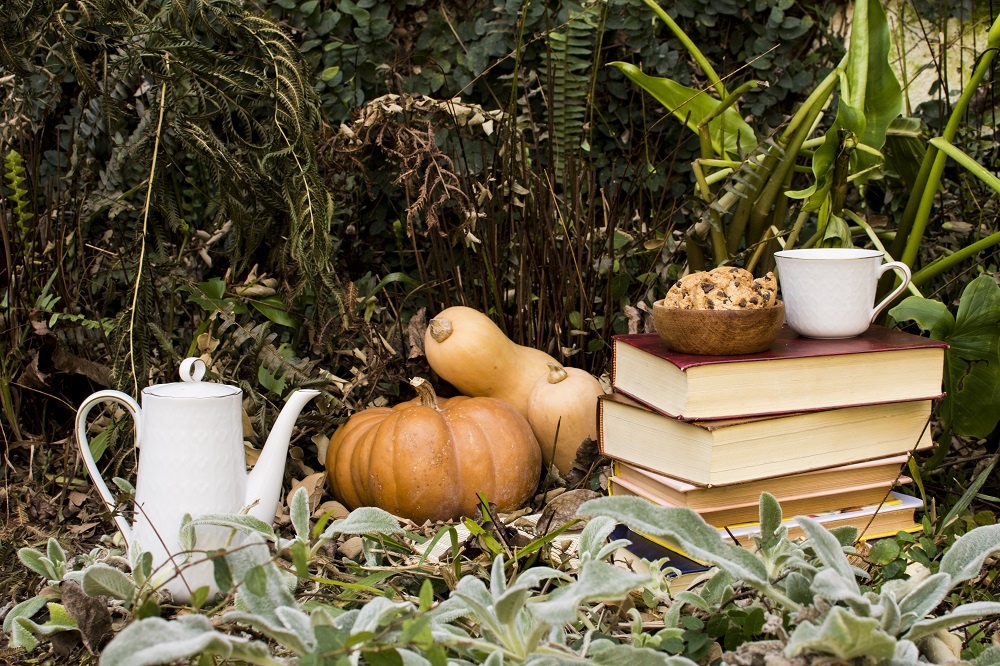 Осень – это не только время сбора урожая, но и период подготовки сада к зиме