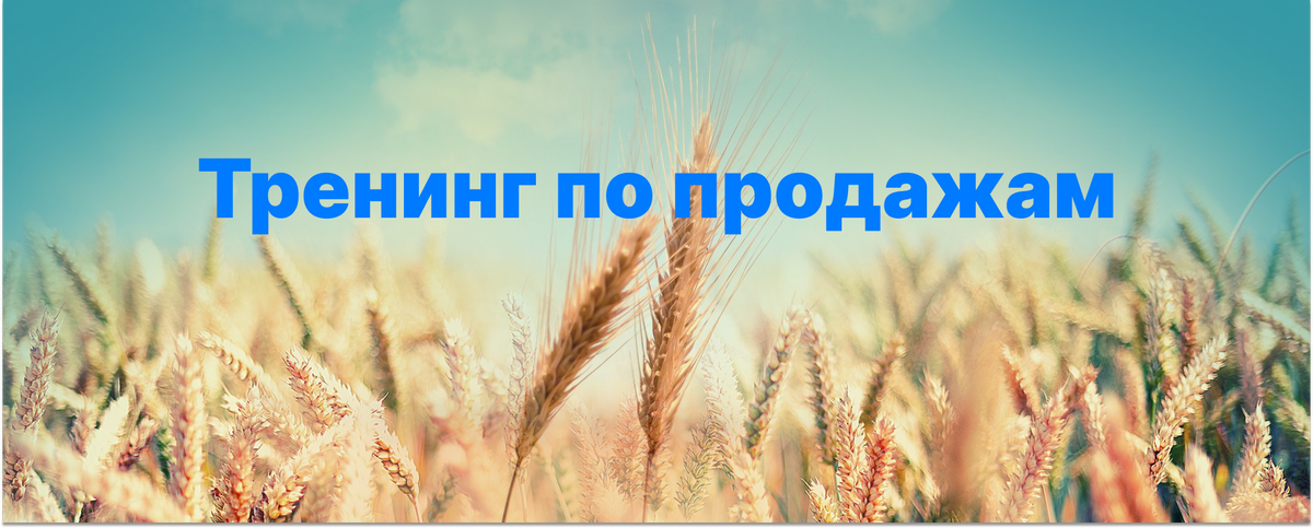 Тренинг по продажам