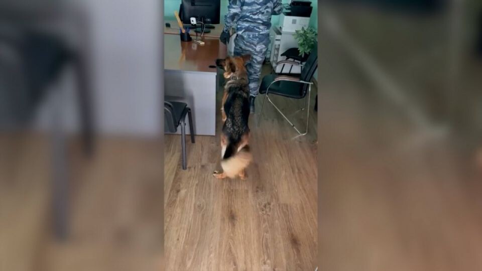    Задержание подозреваемых. Источник: 22.мвд.рф