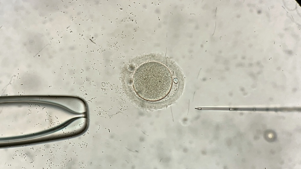    Фото: Shutterstock