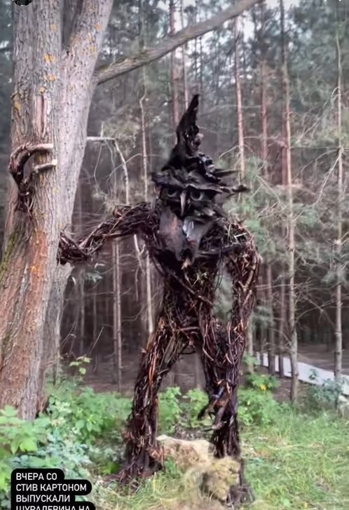    Фото: Дима Шленкин / Instagram*