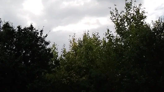 Дождь.