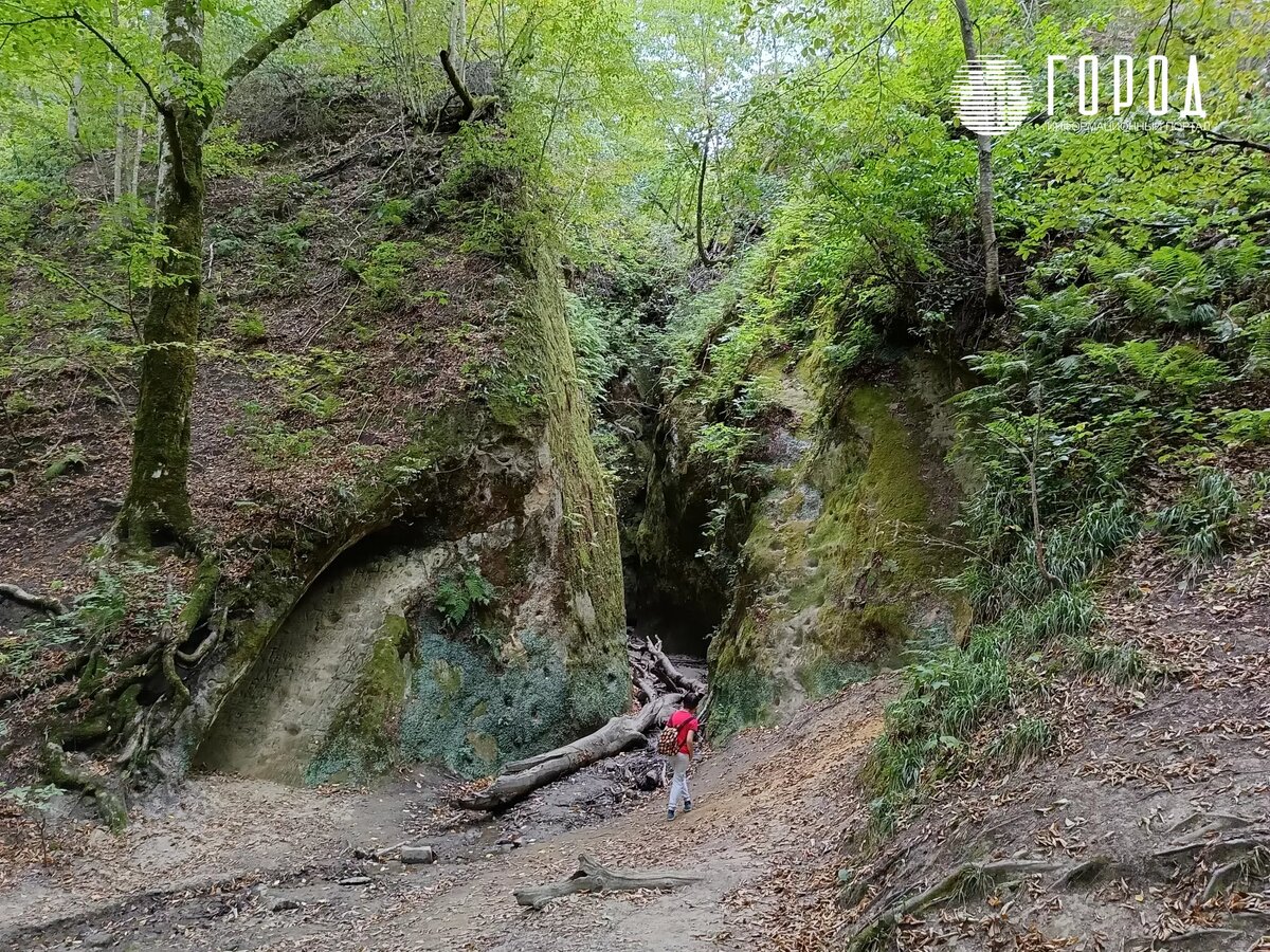 Фото: новости Краснодара "ГОРОД"