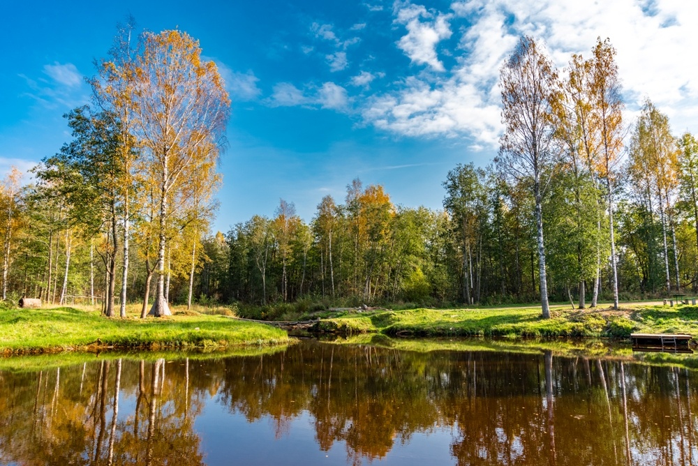 Озеро, расположенное рядом с коттеджными поселками "Мечта" и "Мечта-2"
https://sigmax.su/