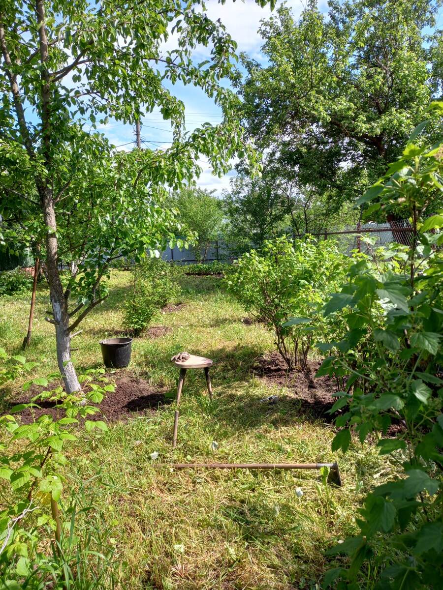 Объект недвижимости. Фото автора.