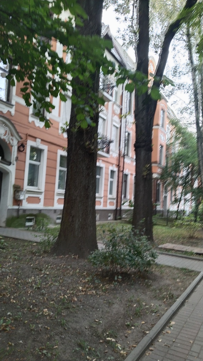 Где-то в районе Комсомольской, Леонова...