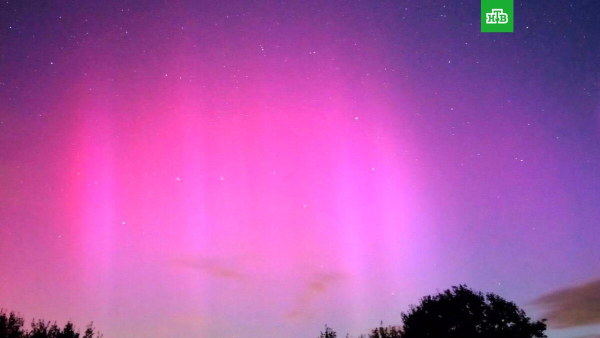    Фото: mosnoow / t.me