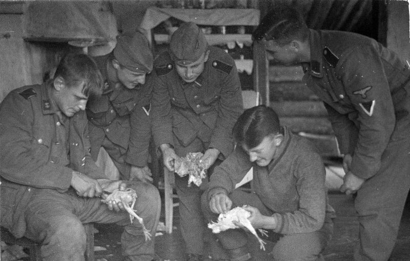 Фото с сайта: https://waralbum.ru/394825/ Солдаты дивизии СС «Норд» ощипывают цыплят в карельском поселке Кестеньга -Ща поедим... потом киношку посмотрим - А если финны придут? - Да вломим им...