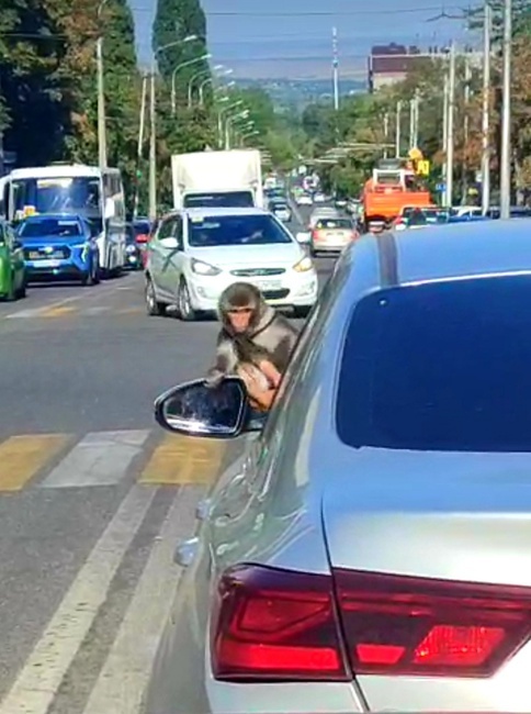домашний архив