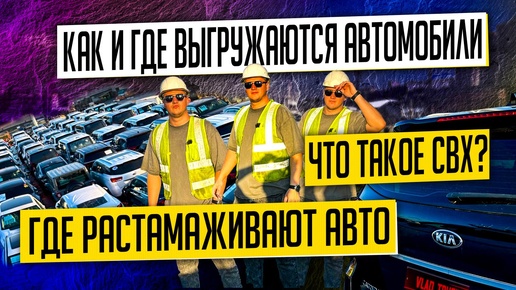 Как выглядит СВХ, как проходит ВЫГРУЗКА автомобилей в порту, как перевозят авто из Японии и Кореи 🇰🇷