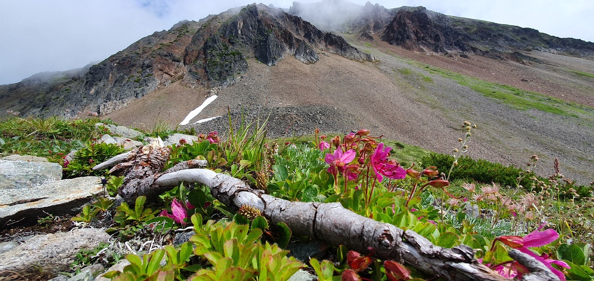 Вулкан Вачкажец (на фото - одна из сторон кратера),