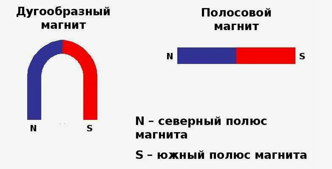 Полюс магнита – место магнита, где обнаруживается наиболее сильные магнитные действия.