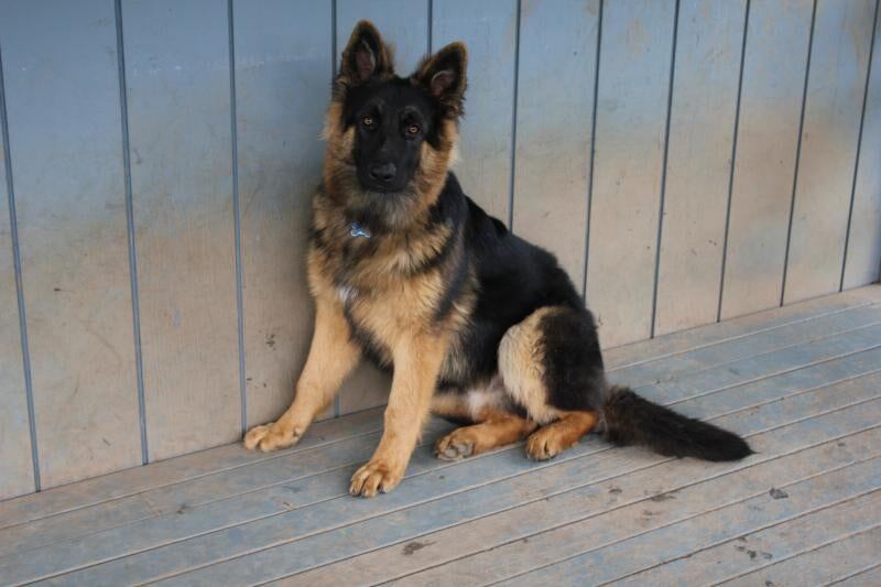 Из открытых источников.