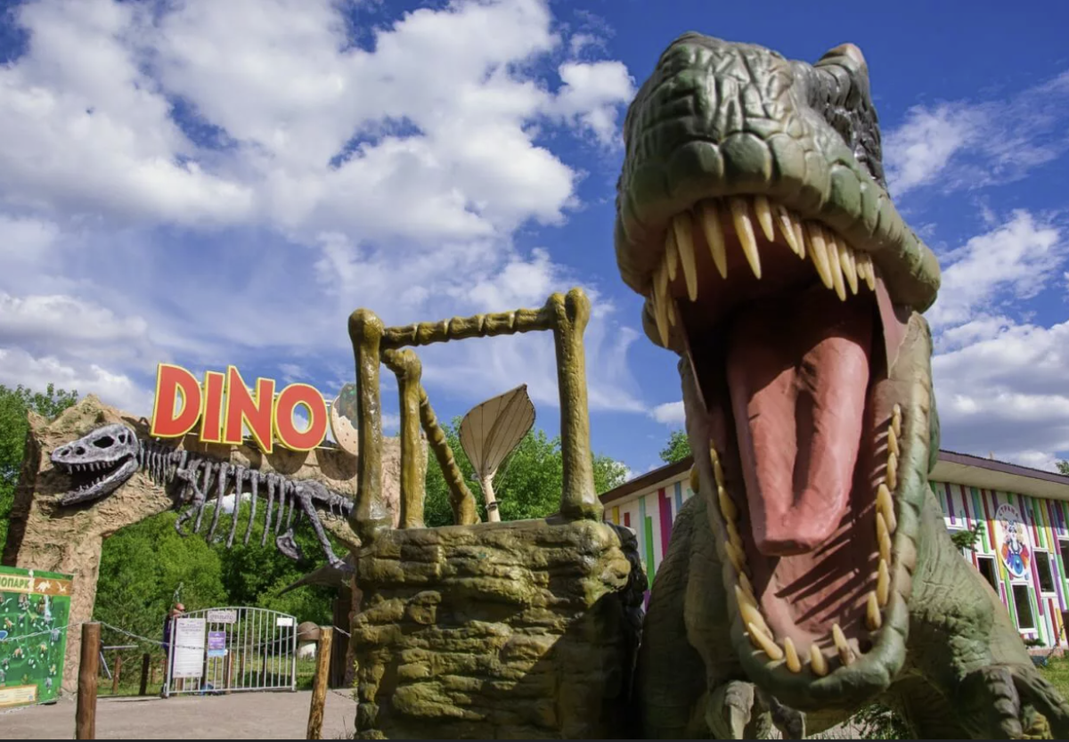 Фото автора статьи