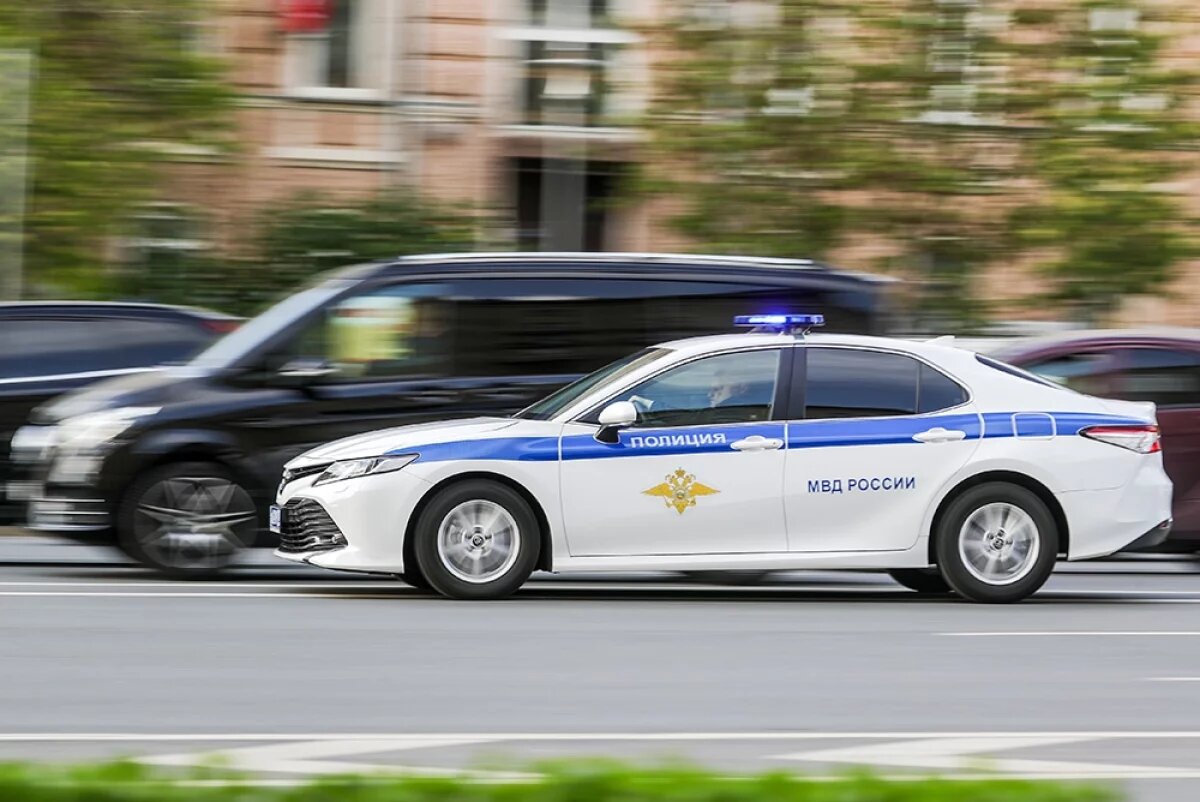    Житель Кубани угнал пришвартованный у берега катамаран и продал знакомому