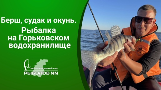 Судачки, берши и окуни. Рыбалка и отдых на Горьковском водохранилище