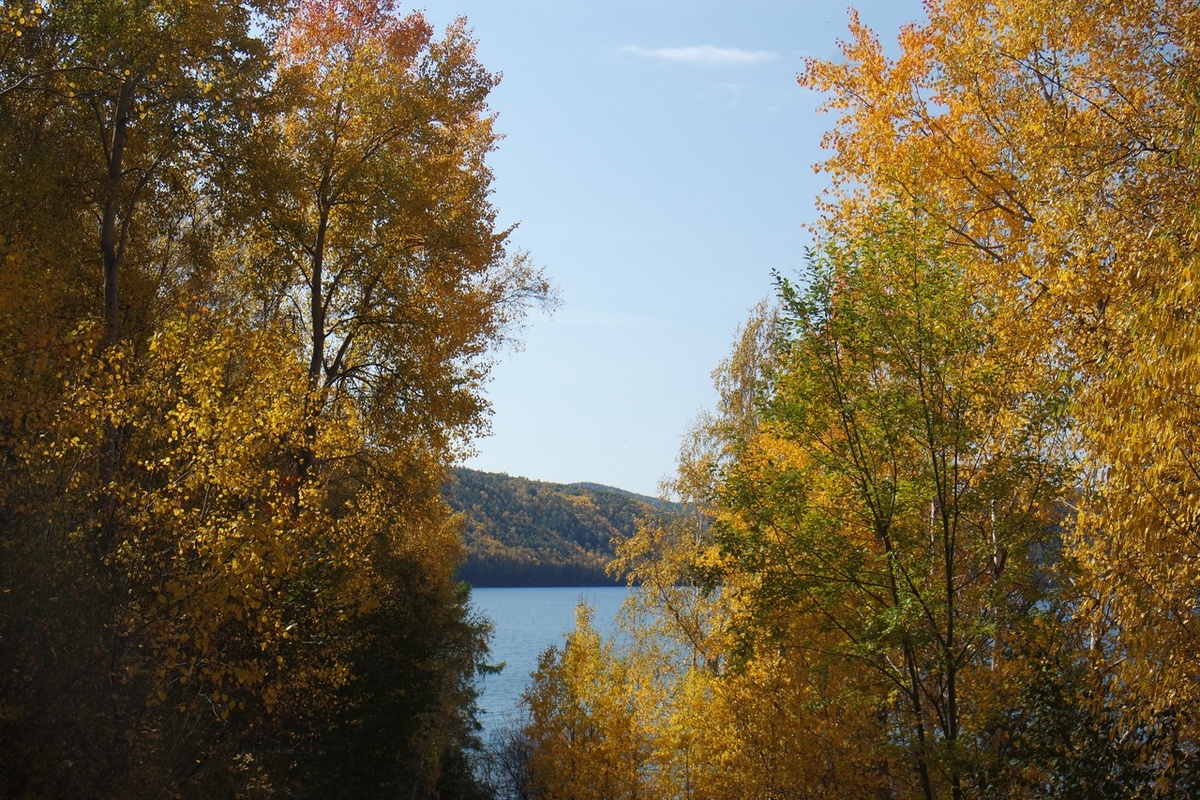вид на красавицу-Ангару из села Тальцы