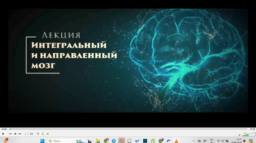 Цзе Кун. Интегральная алхимия. Интегральный и направленный мозг