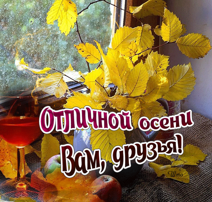 Яндекс картинки