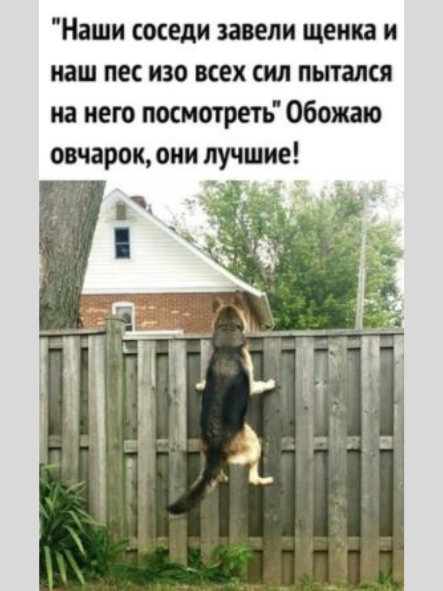 Это не мое любимое