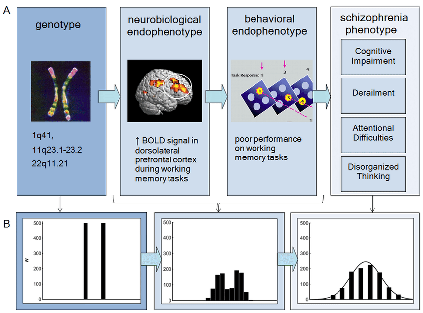 https://www.researchgate.net/publication/317369450_Redefining_the_endophenotype_concept_to_accommodate_transdiagnostic_vulnerabilities_and_etiological_complexity