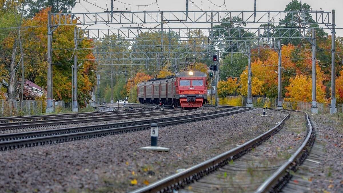 Фото: пресс-служба АО "СЗППК"