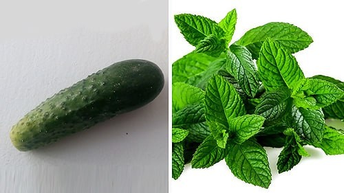 Маска для лица из огурца и мяты