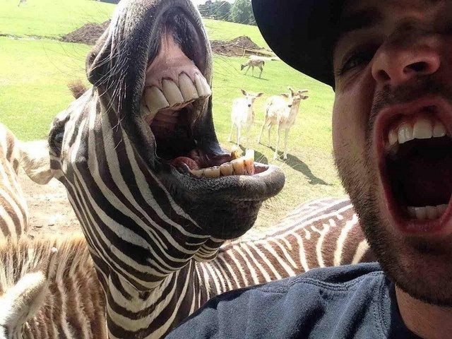 Фото: i-prize.ru