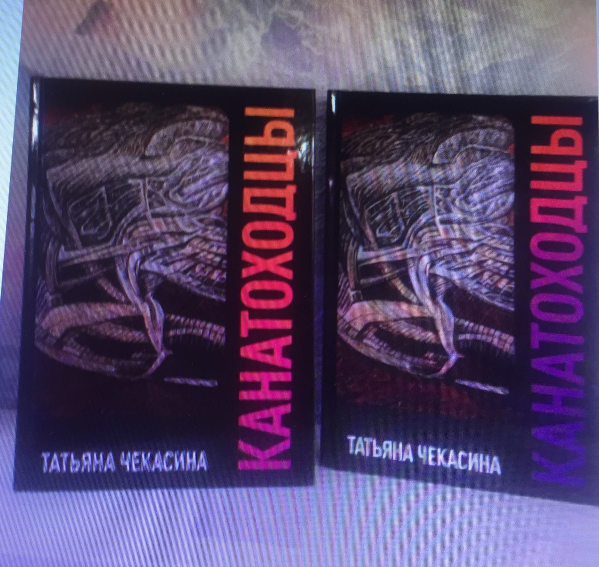 РОМАН "КАНАТОХОДЦЫ" - ВЕСЁЛЫЙ. НАВЕРНОЕ, ПОТОМУ, ЧТО В НЁМ СЛЕДОВАТЕЛЬ ВЕСЁЛЫЙ ПАРЕНЬ. А КАКОЙ УМНЫЙ! 