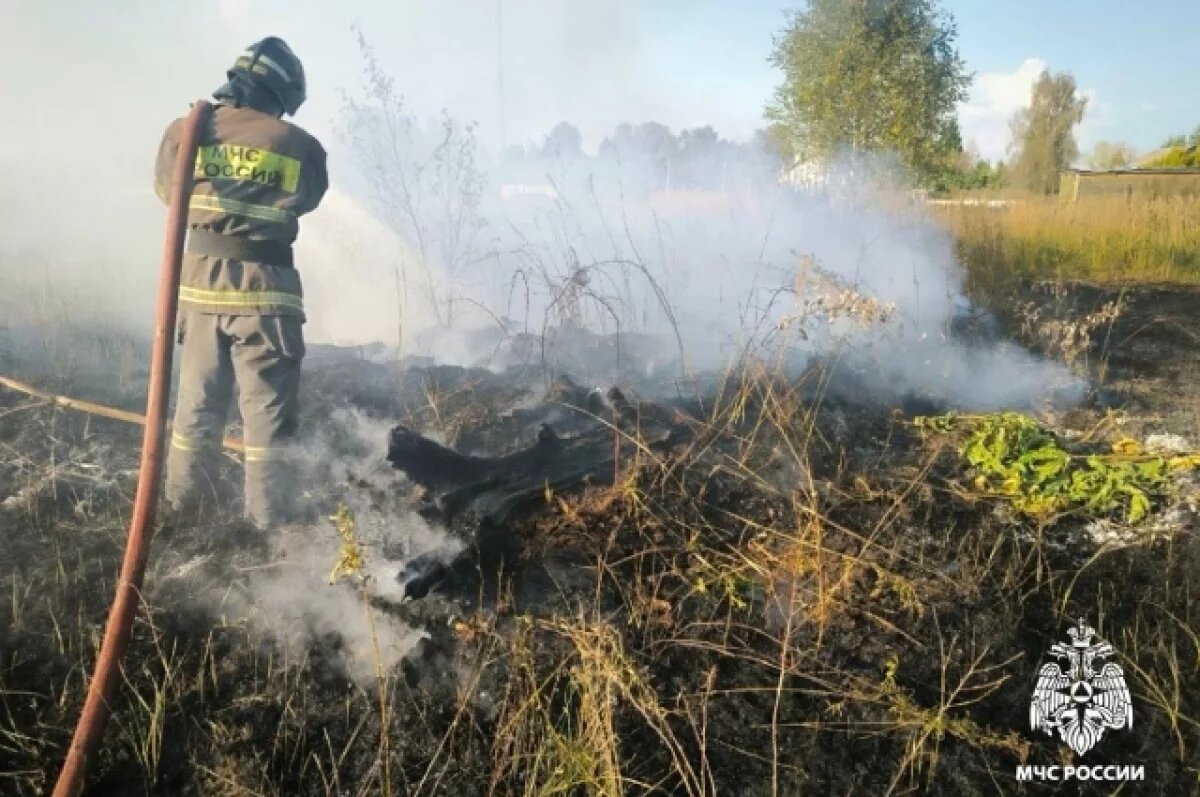   В Тверской области спасатели дважды тушили загоревшуюся сухую траву