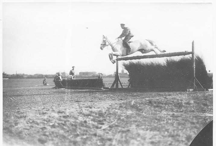 Источник: открытый доступ