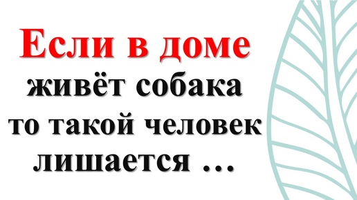 Монахи говорят, что если в доме живёт собака, то такой человек лишается благодати